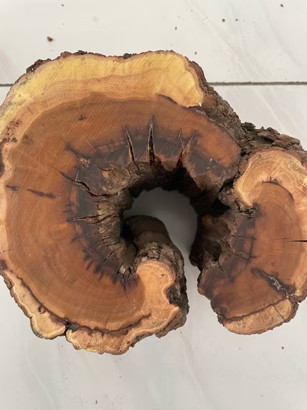 雷枣木（仅限直播间截图为准）