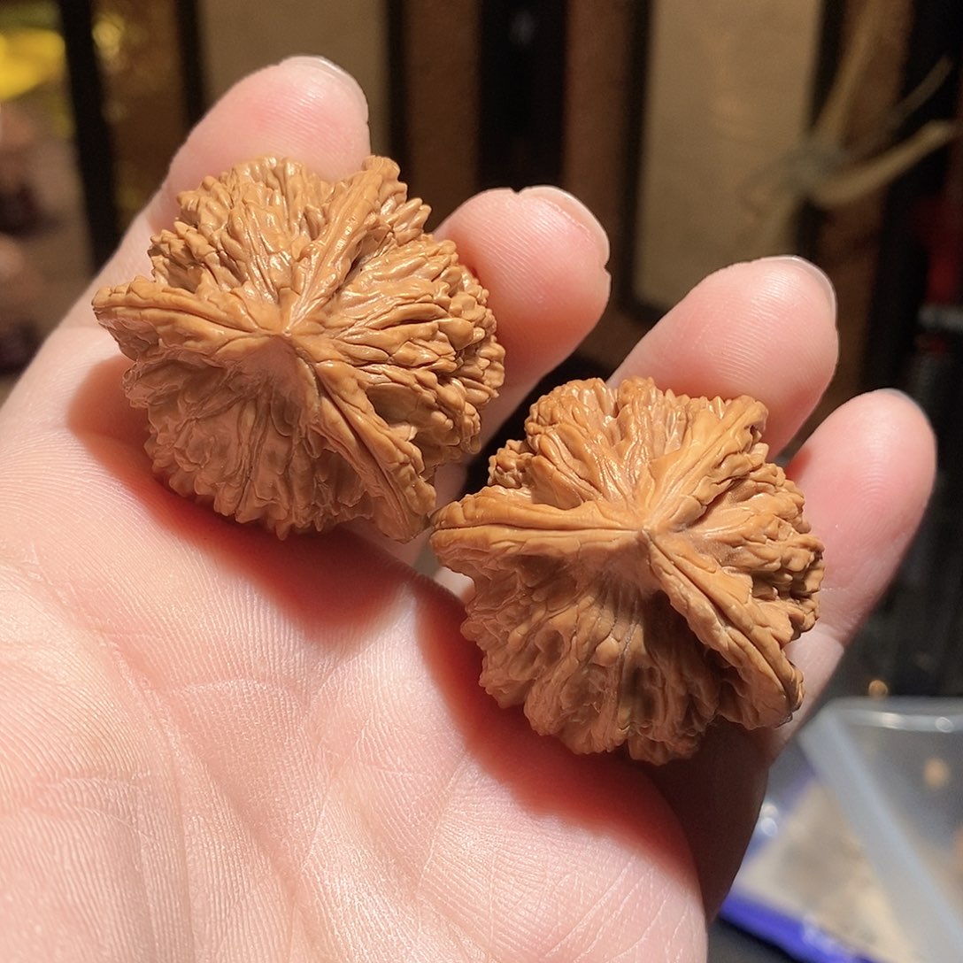 文玩核桃把件39虎头奔