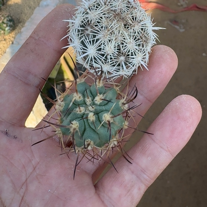 宝***旗福利444444444444