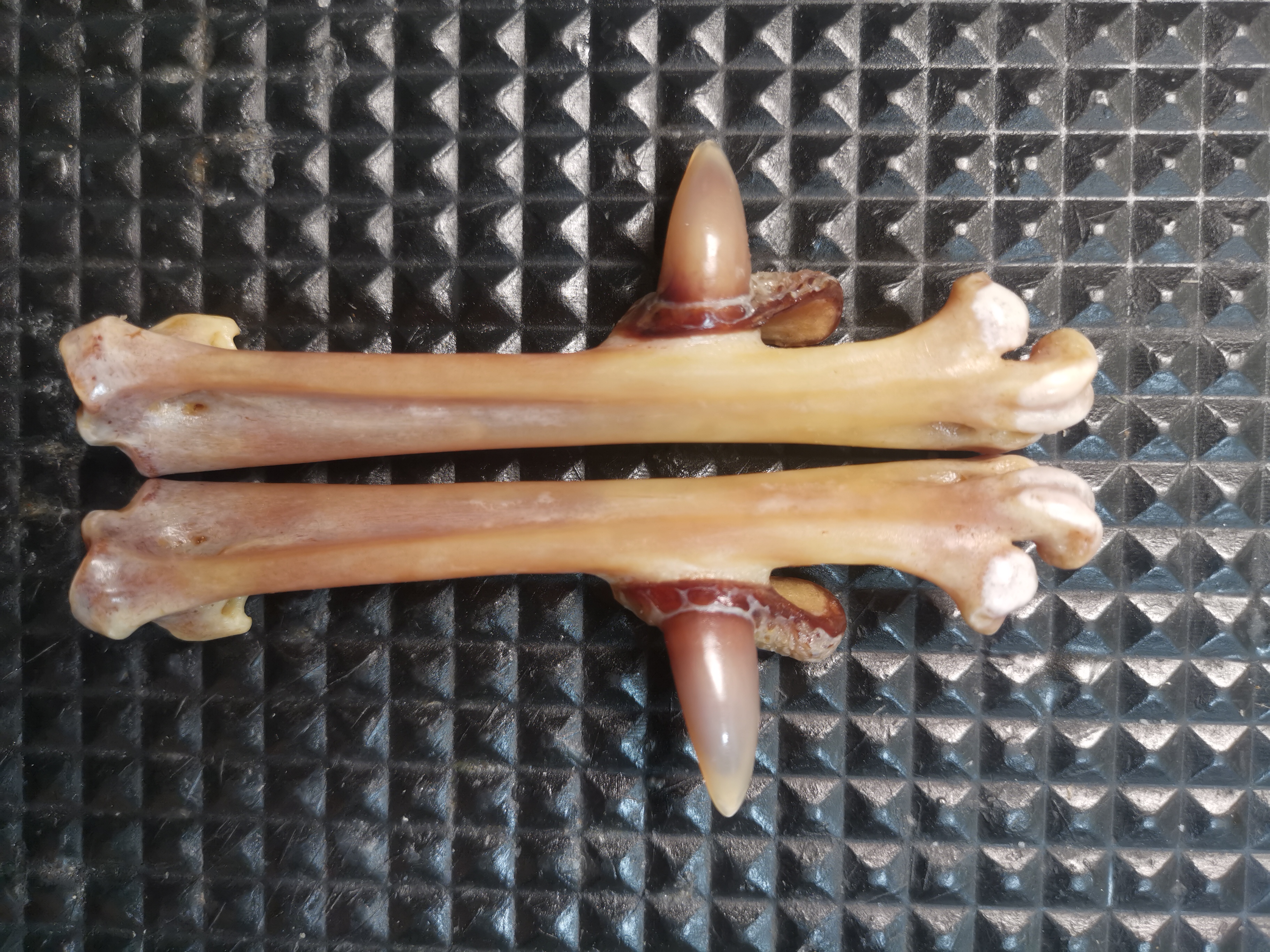 鸡凳子工艺品，一对精品，物有所值。