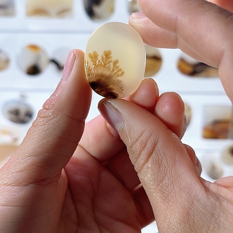 【闪购商品】玛瑙/玉髓珠宝半成品未镶嵌