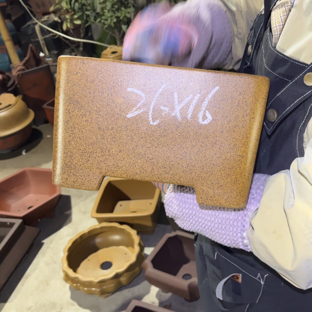 紫砂花盆盆景艺术