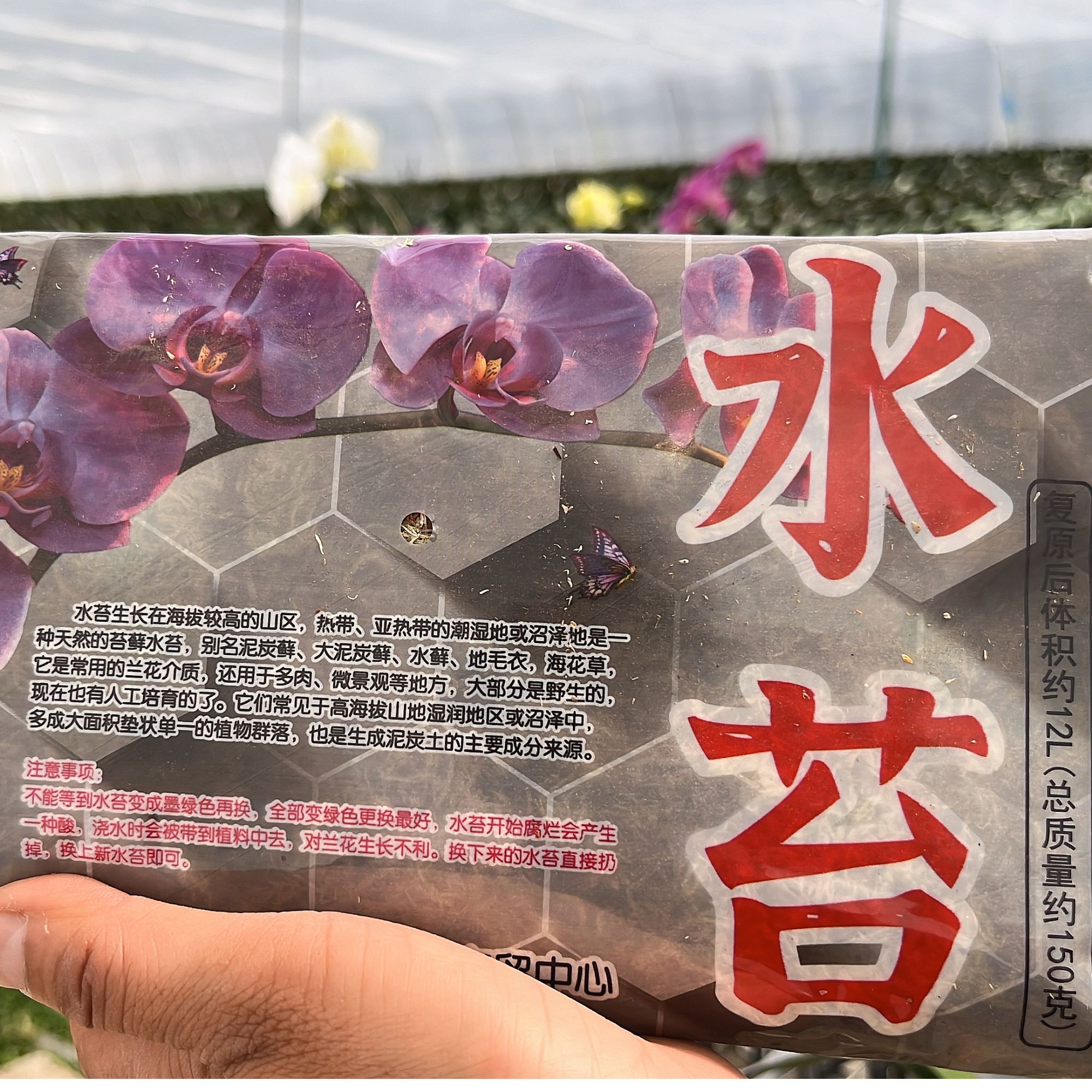 蝴蝶兰专用水苔植料好用