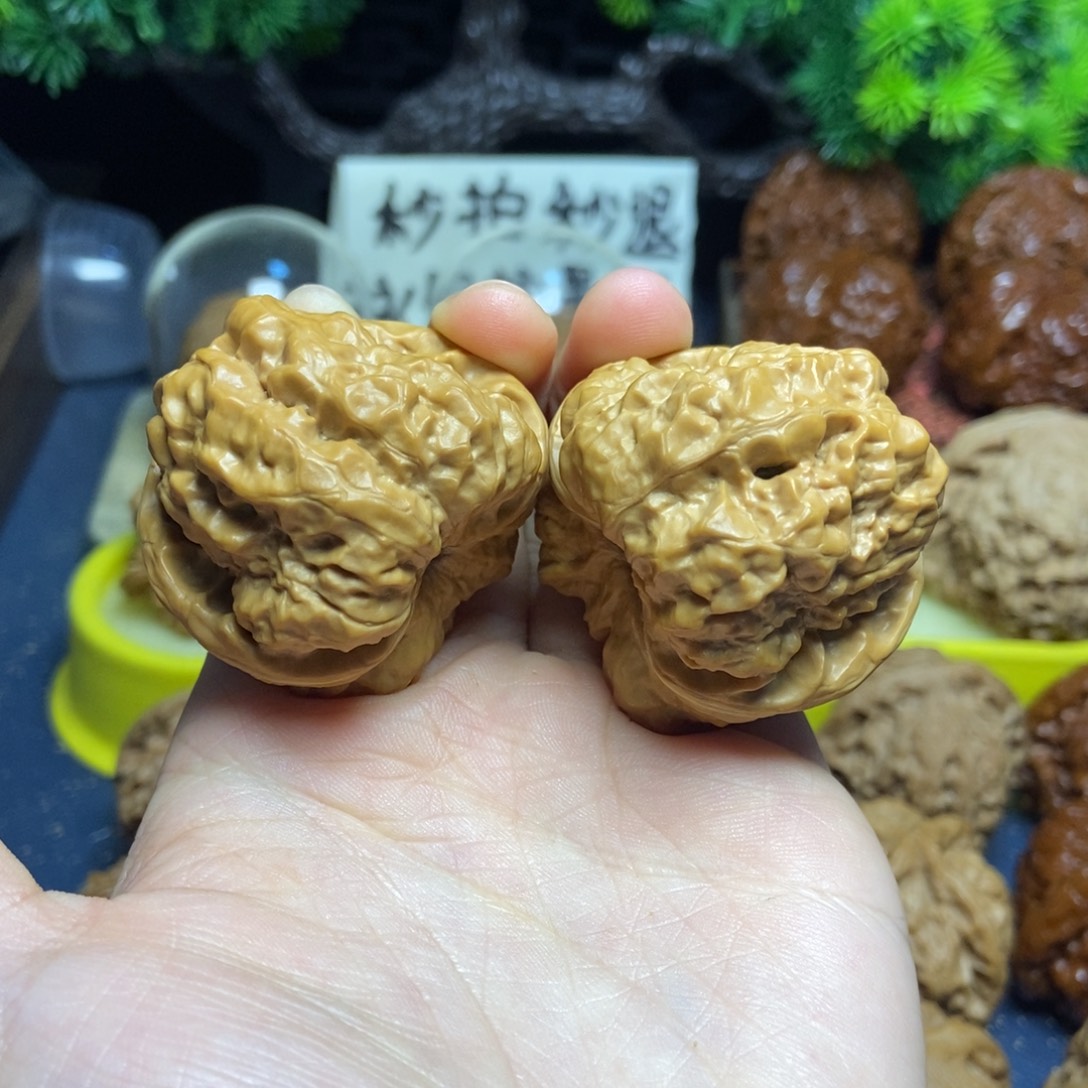 核桃新果蛤蟆头40尺42尺4