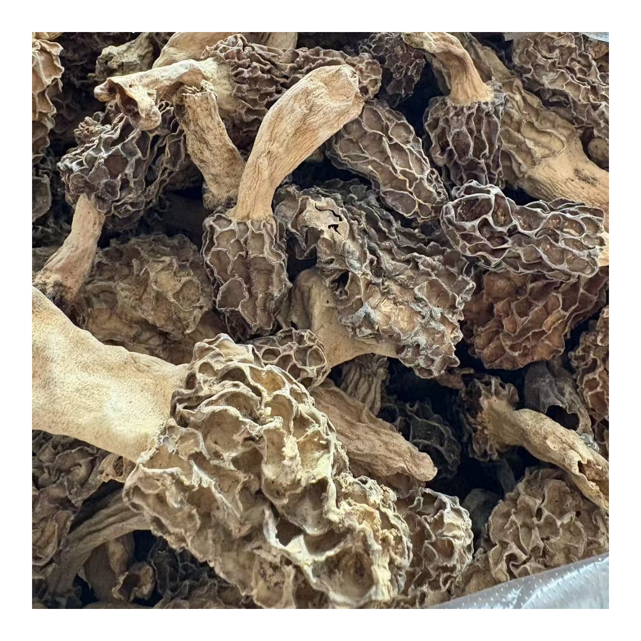 野生羊肚菌干货营养滋补煲汤佳品