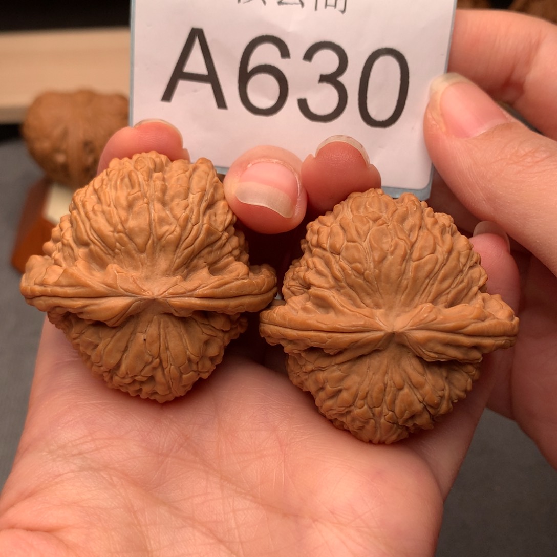 文玩核桃把件43全品白狮子