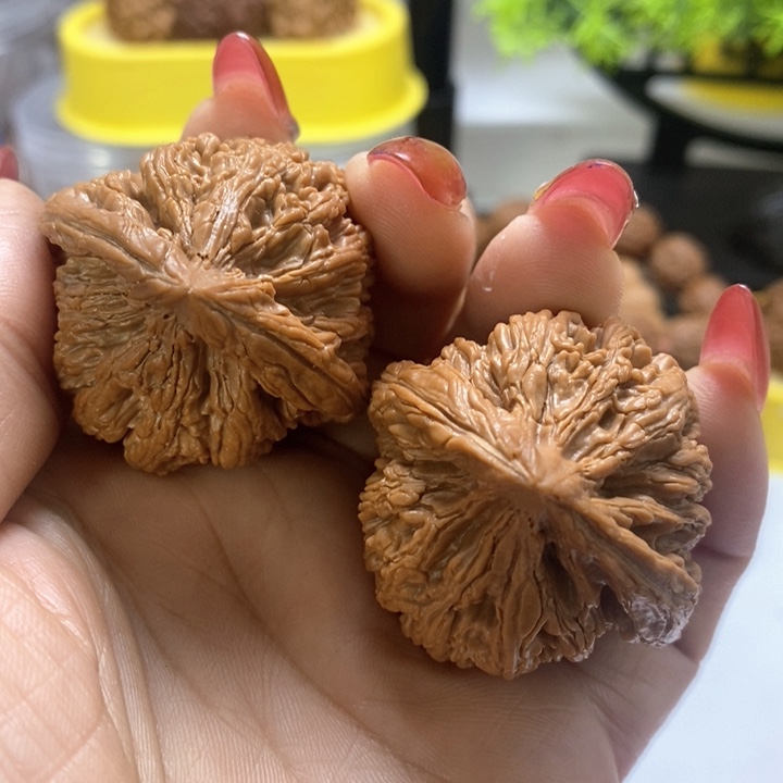 文玩核桃把件九龙筋