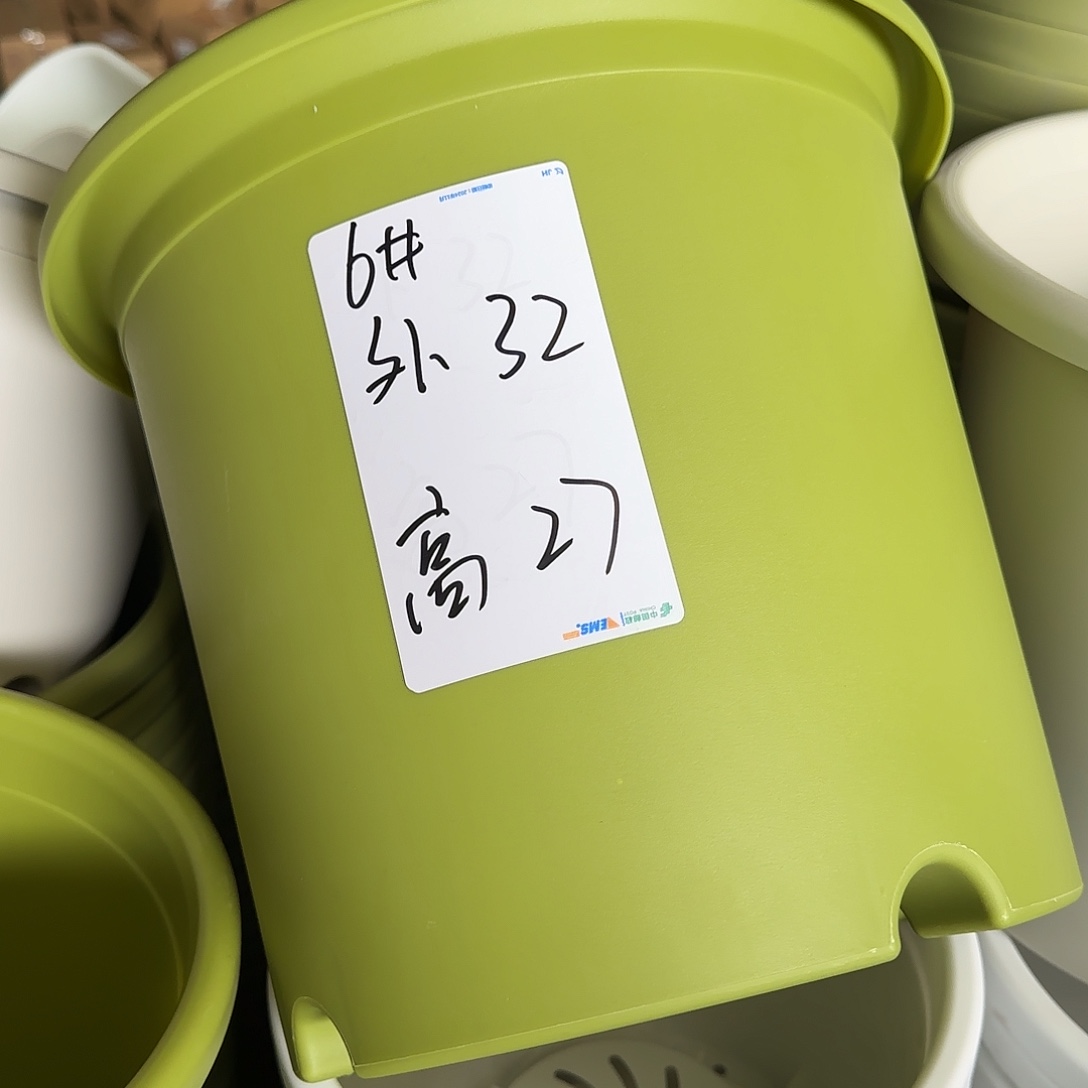 树脂四季6号无托7个果绿