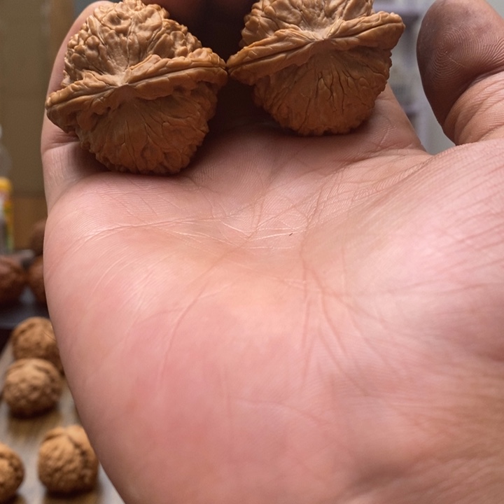 1***7吊坠文玩核桃白狮子