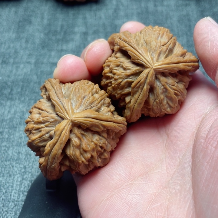 工艺三棱白狮子三棱