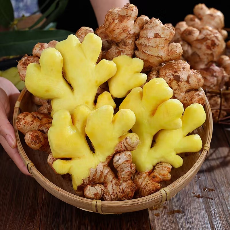 小黄姜3斤装生姜辛辣姜香浓郁当季时令蔬菜/ 1.5kg新鲜采鲜姜发货