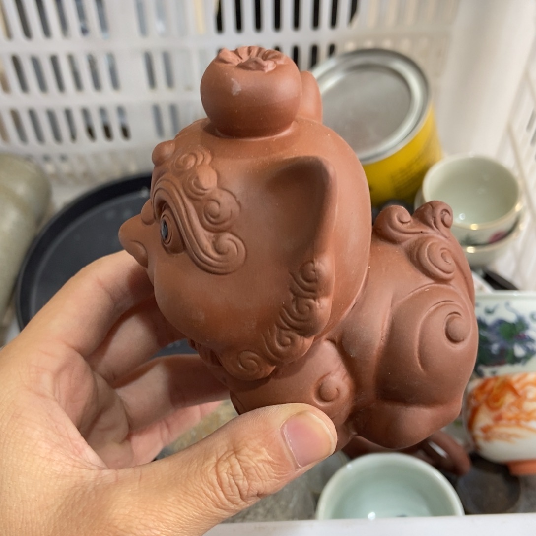 杯直播链接直播链接