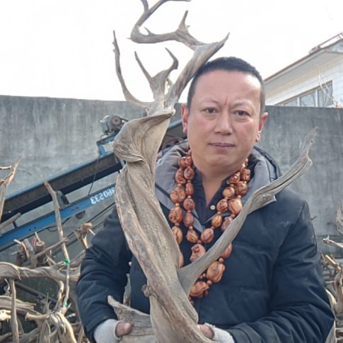 漂亮的坨坨000000480