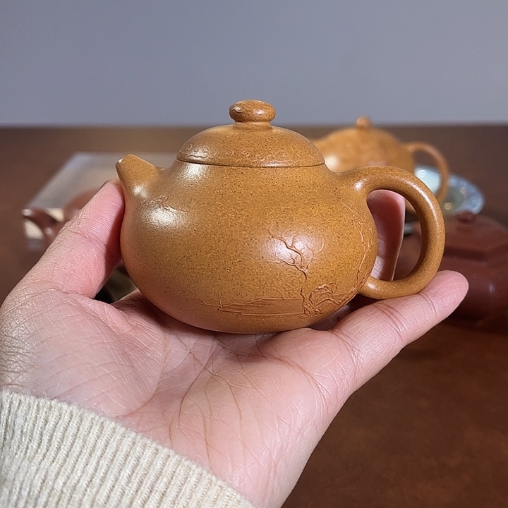 ****k感谢新粉支持文旦