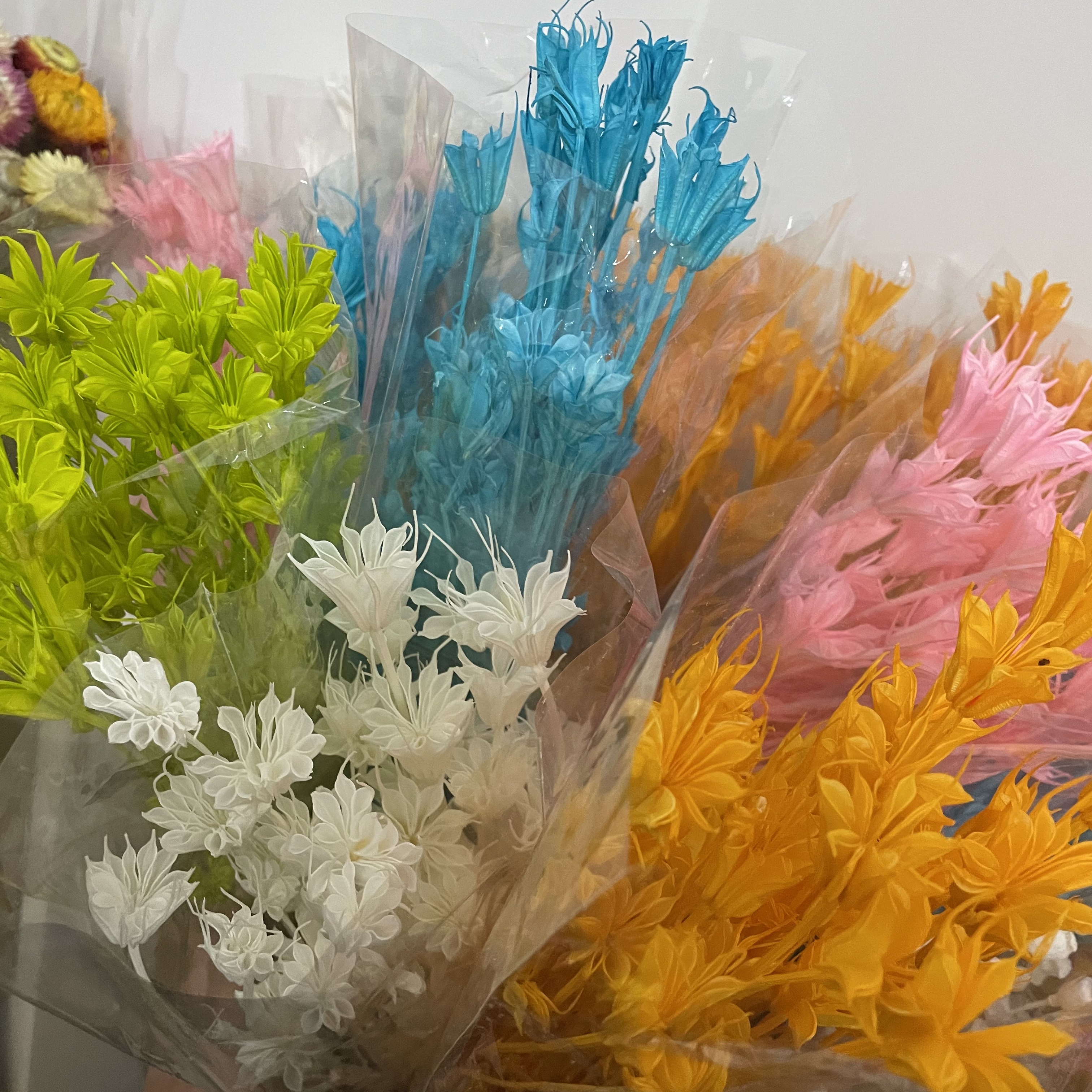 【陶爱笑】八角花干花永生花装饰品