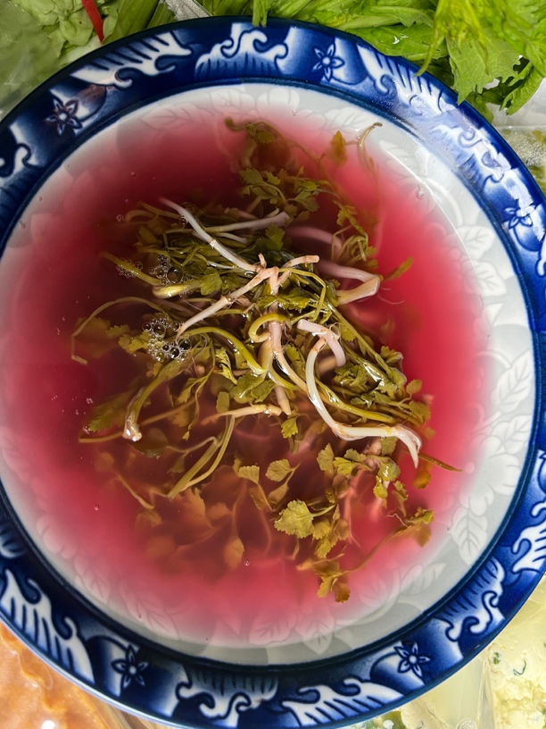 贵州高山农家芹菜酸（酸芹菜）小时候的味道