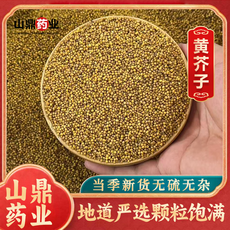 山鼎药业【 黄芥子  白芥子】 芥子  芥末籽子 介子 三子汤原料 