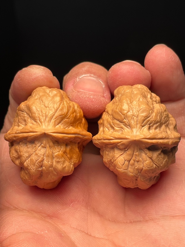 云南铁核桃领头羊