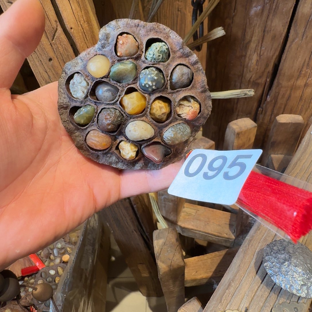 老了就不想了吗我的