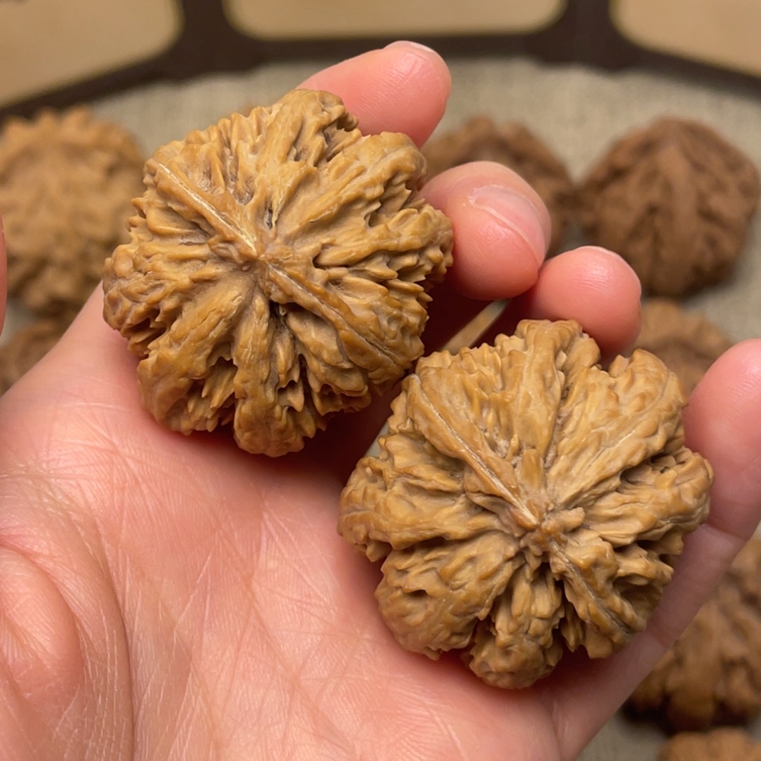 文玩核桃把件秦岭核桃9号