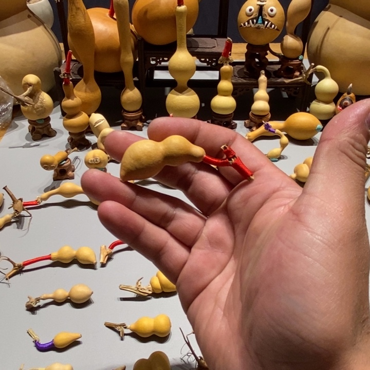 守***人大叶紫檀（黑酸枝木类）