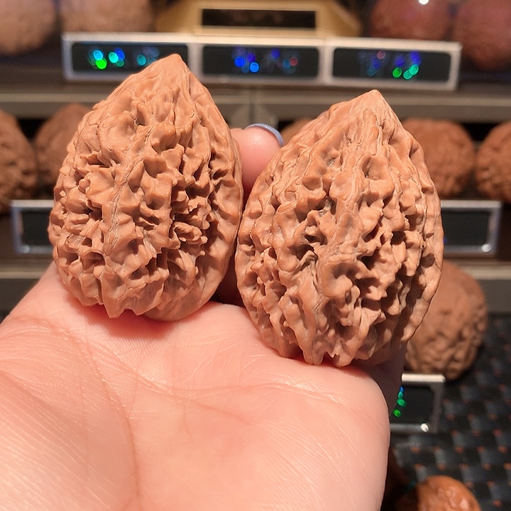 文文核桃把件招财鼠