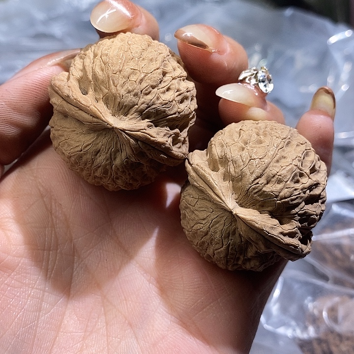 核桃云南野生铁核桃114号37mm