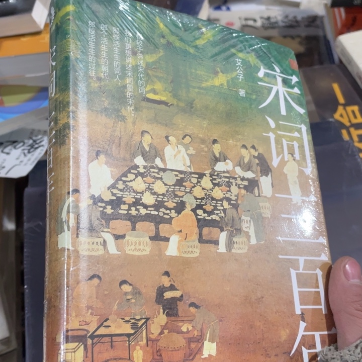 宋词三百年精装书籍