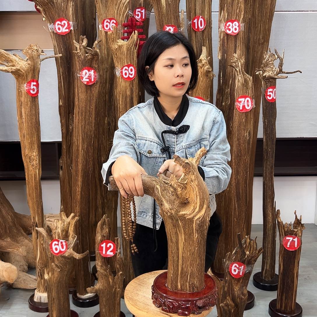 沉香摆件海南沉香摆件