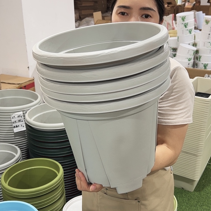 青山盆口32高28灰白色无托5只
