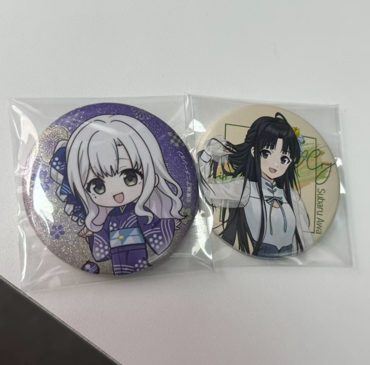 徽章两枚图上固定款