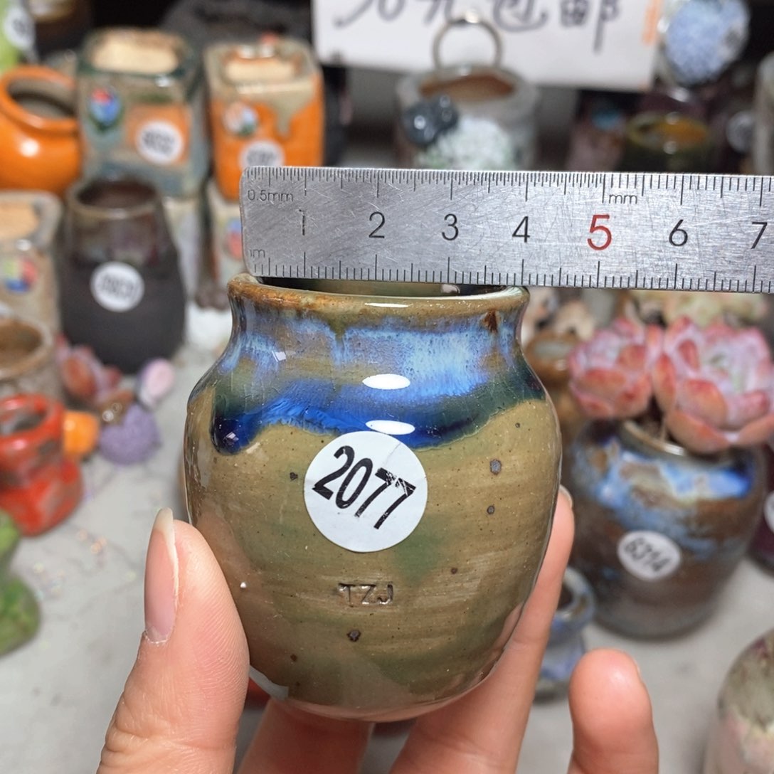 拍5送一个小礼物花盆
