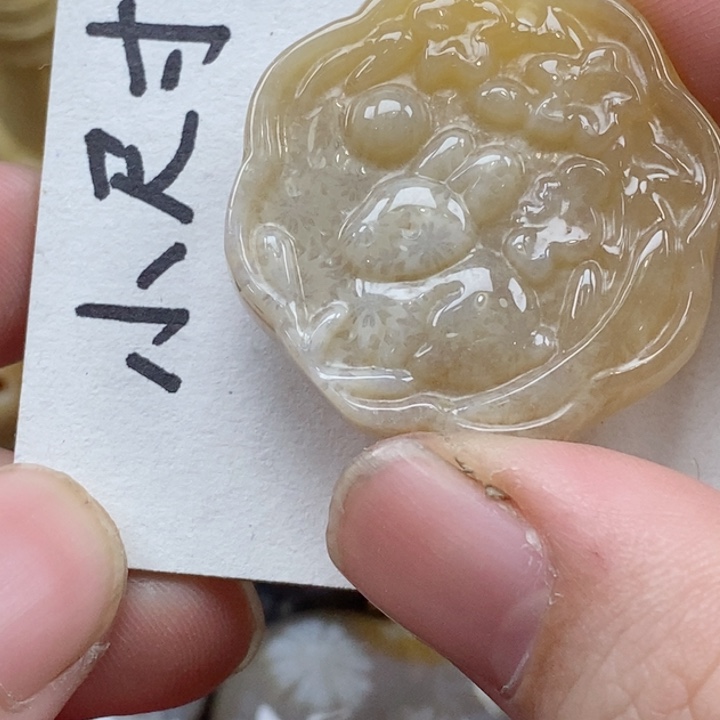 颈饰未镶嵌硅化珊瑚（珊瑚玉）