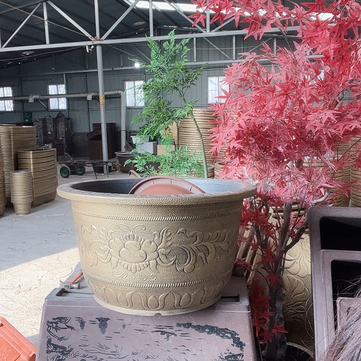 圆83一个有孔金色的