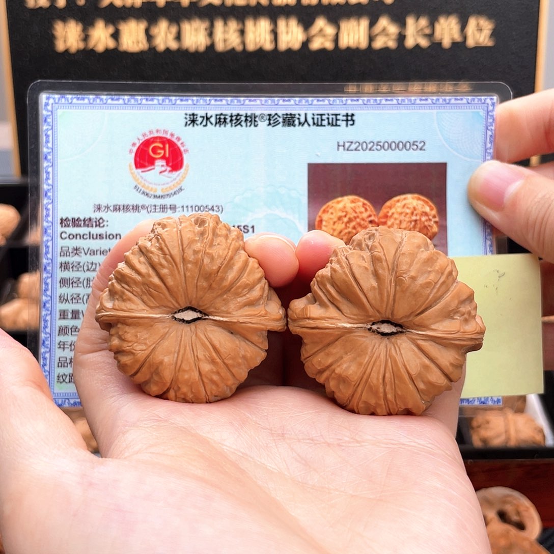 吊坠文玩核桃45尺49克大圆瓜深凹底蝴蝶肩45S1