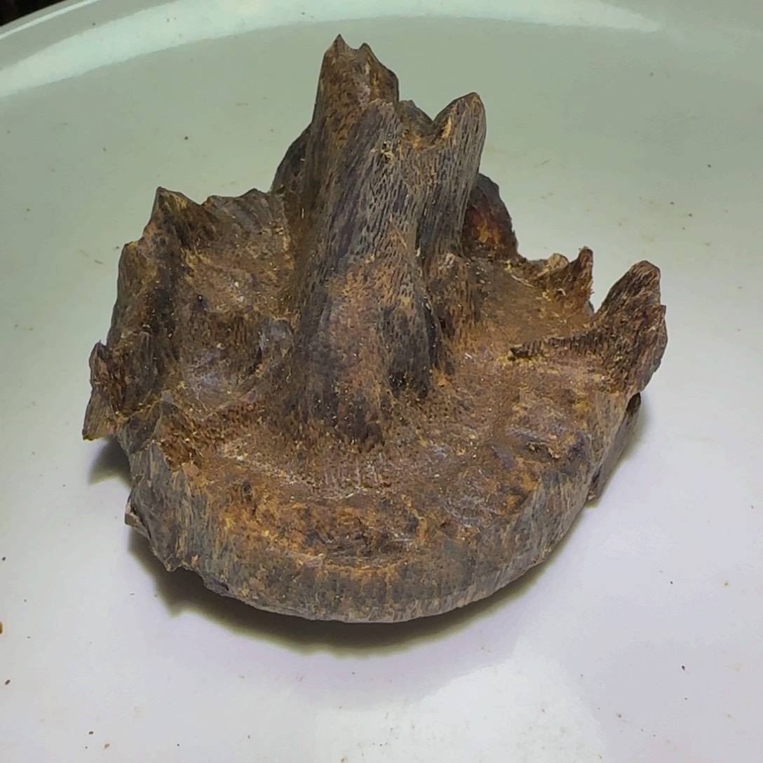 沉香手把件司*叟沉香奇楠海南野生大山包头65克