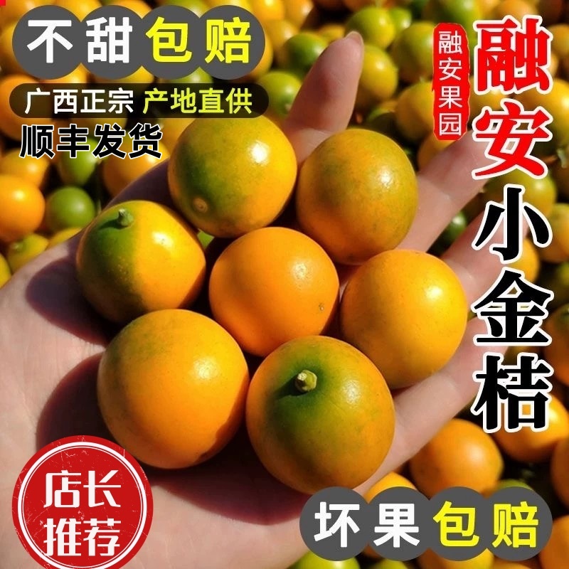 【脆蜜金柑】正宗第三代广西融安脆蜜金桔新鲜应季水果顺丰包邮