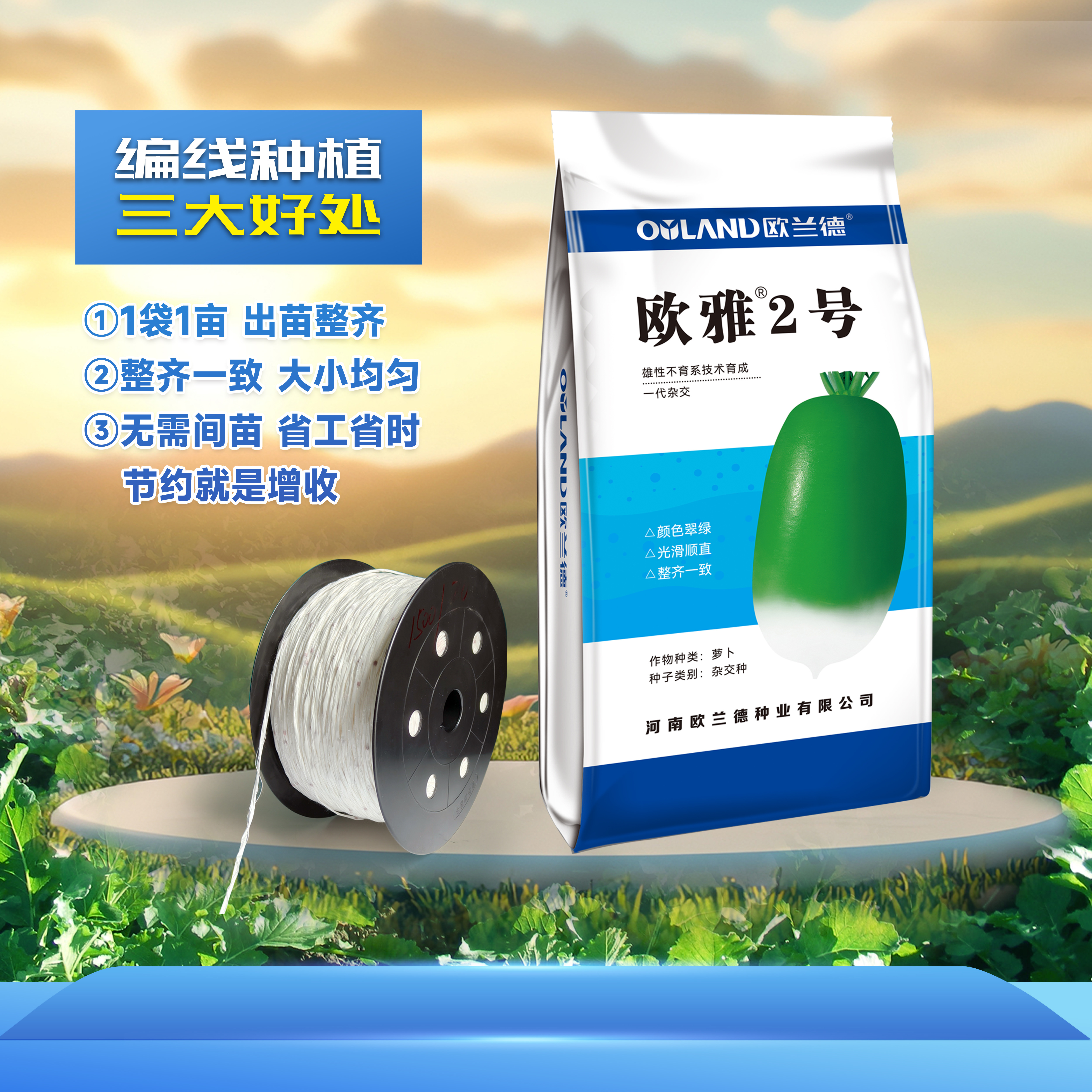 OULAND/欧兰德欧雅2号编线萝卜种子l袋1亩高产蔬菜种子厂家直销