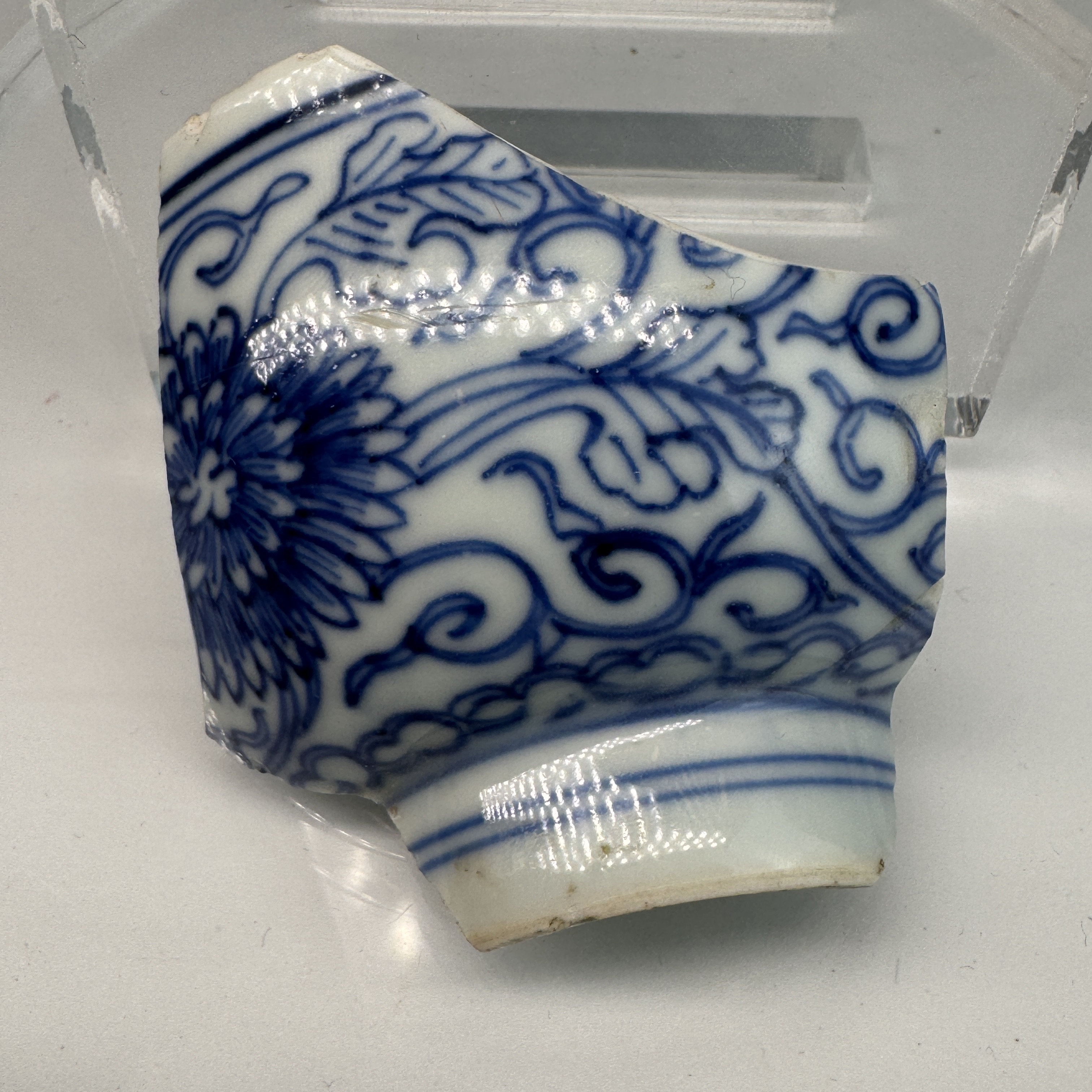 TC 01214 清康熙 青花 瓷片标本 