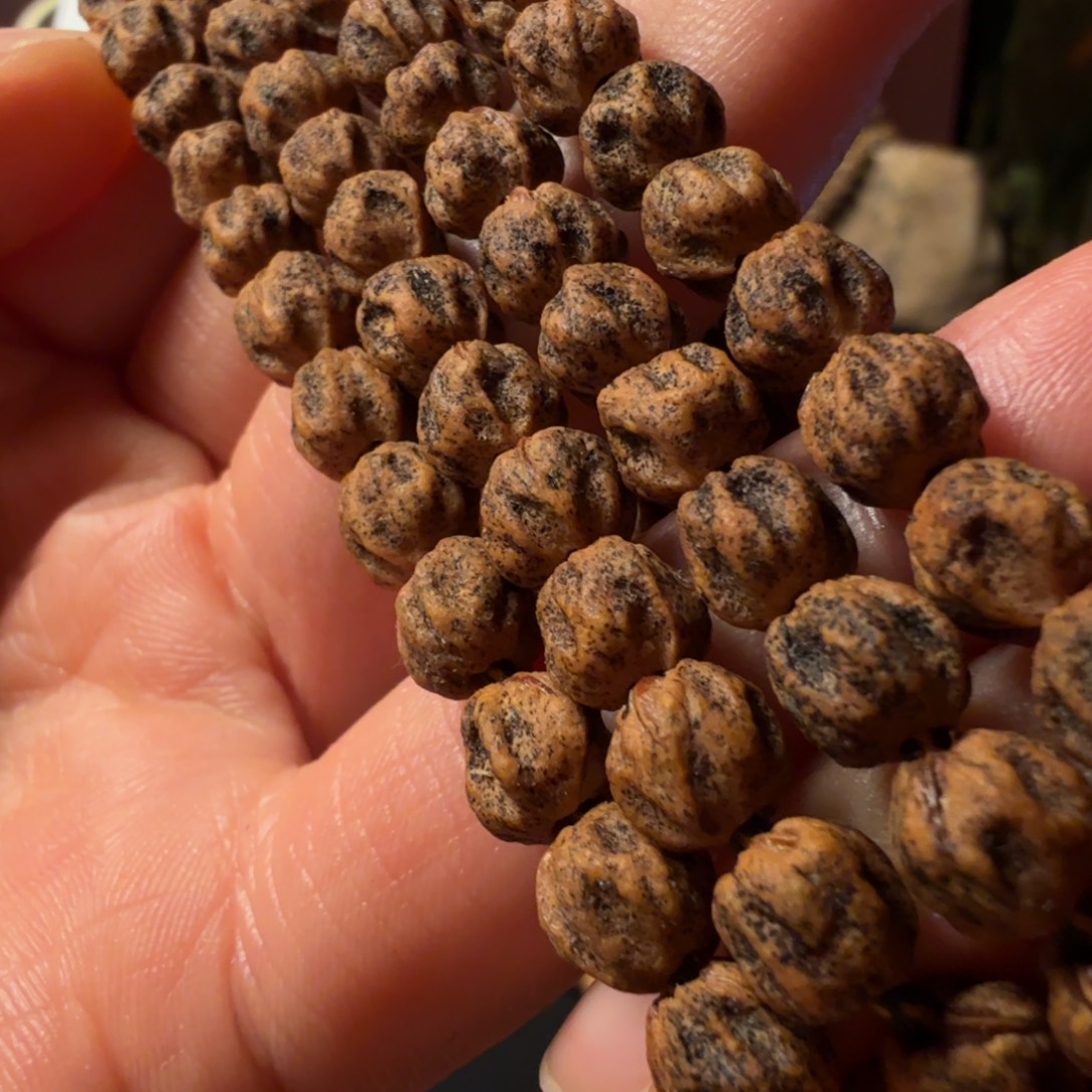 铮***。柏香籽/百香籽吊坠