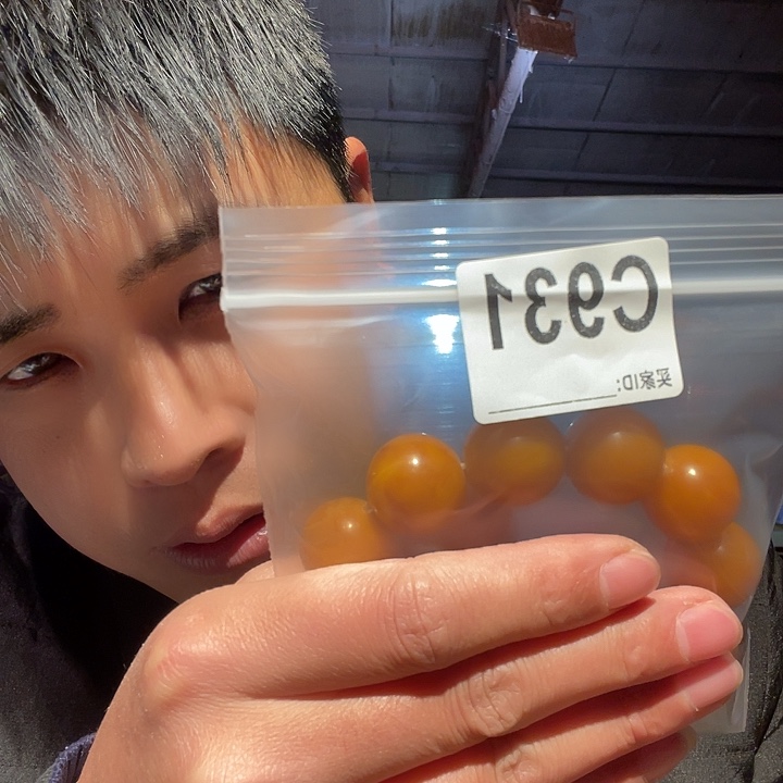 大叶紫檀（黑酸枝木类）931