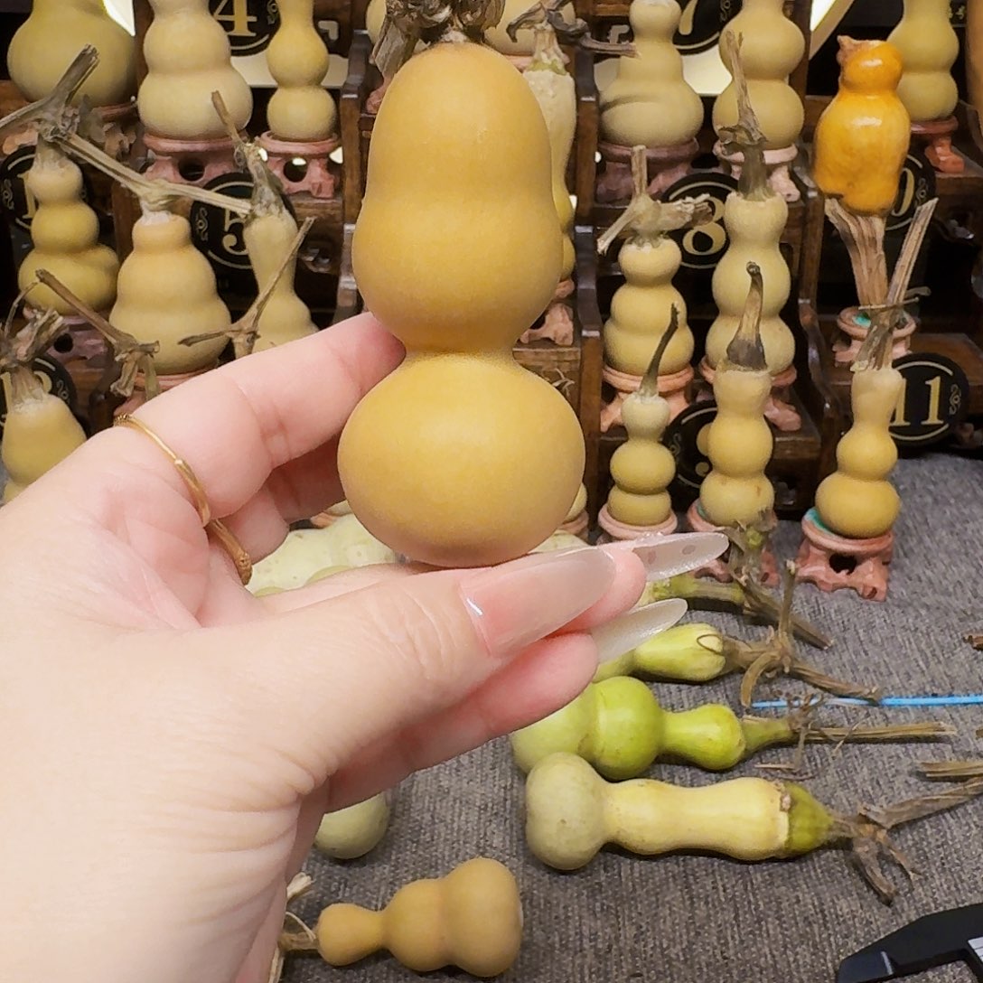 阿***。地里不冷不干也能做个