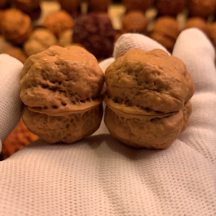 文玩核桃吊坠53哦哦哦哦