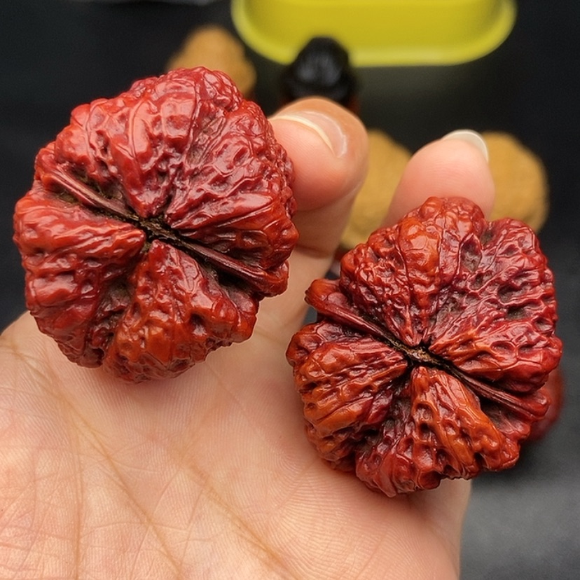 【闪购商品】把件文玩核桃42尺蝴蝶蟾