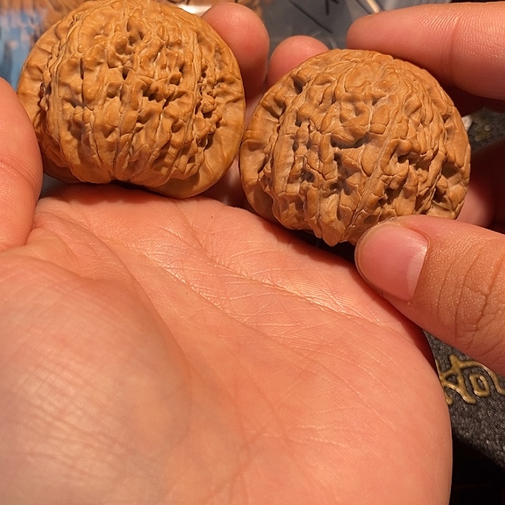 不***密手串/手链核桃42 白狮子有水尖