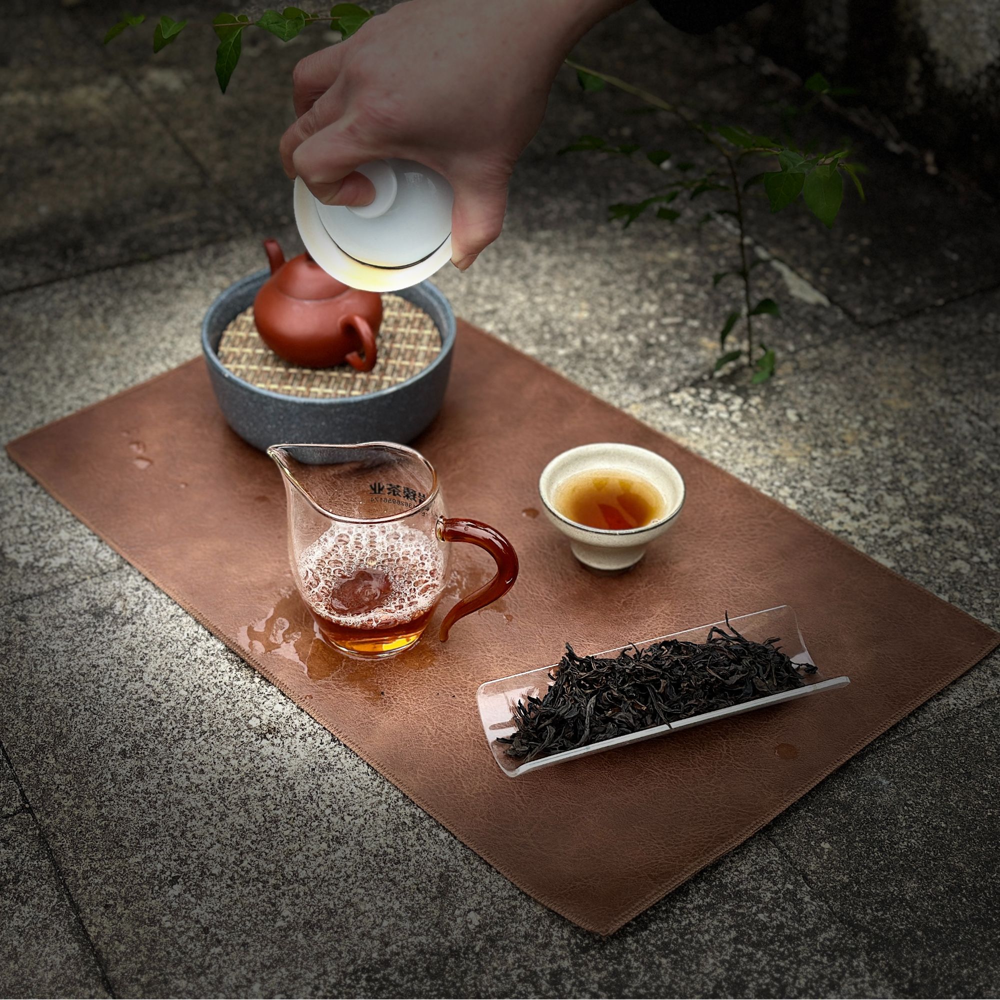 【高端茶礼】金奖花果香肉桂50克高级花果、生态十足（PVC盒）