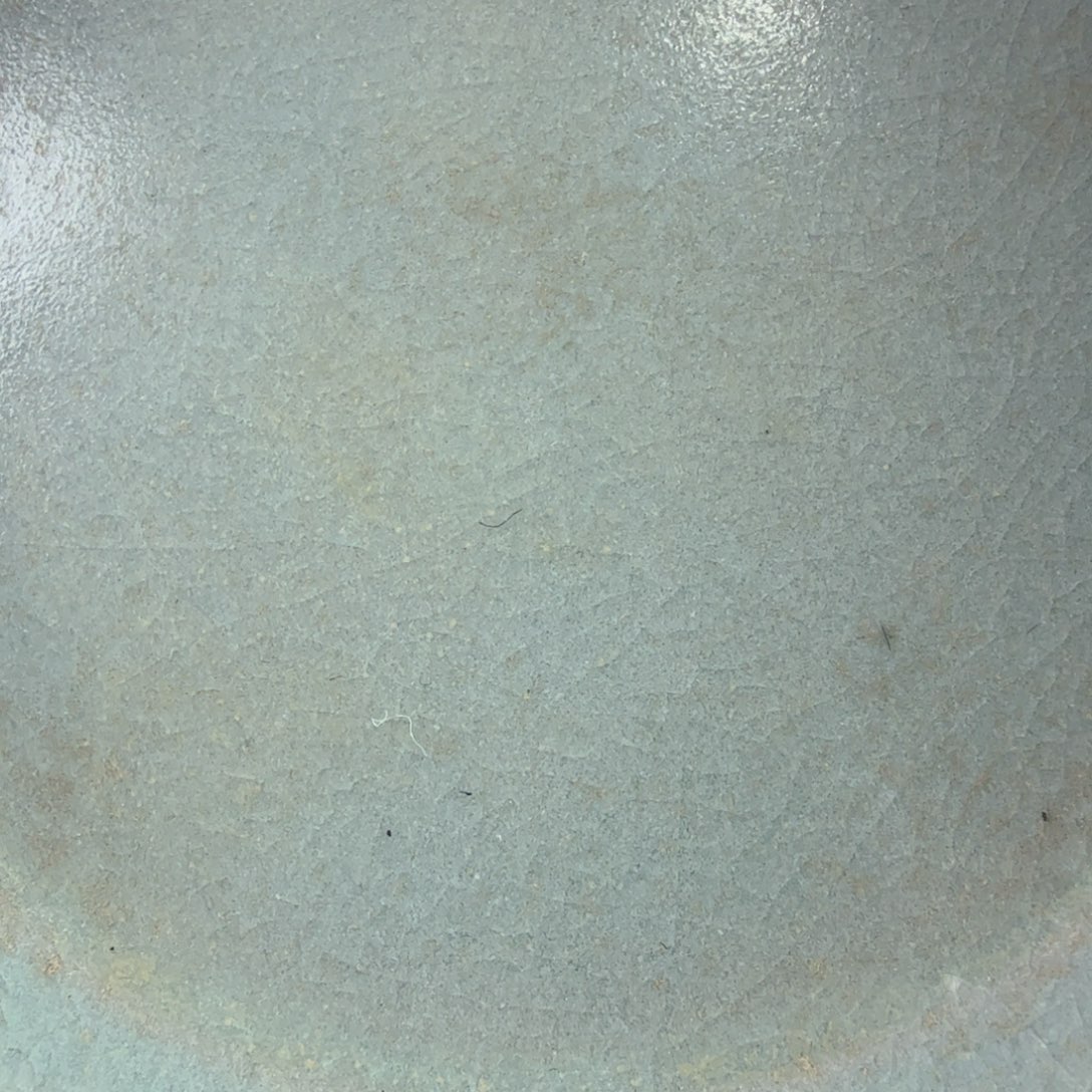 碟钢*工兔子邻居邻居邻居邻居