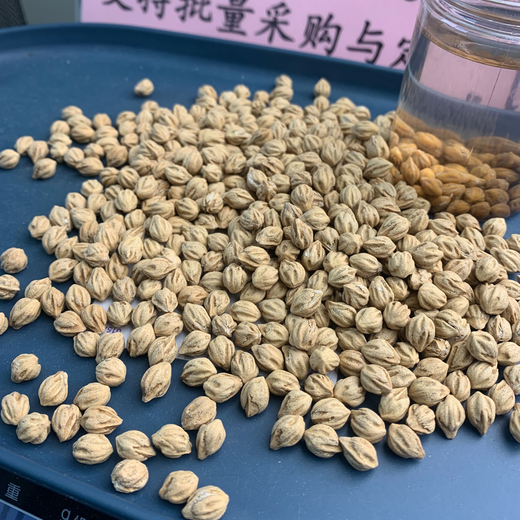 FA064热振粉皮多棱顺纹鬼脸柏香籽散籽7.5+107克