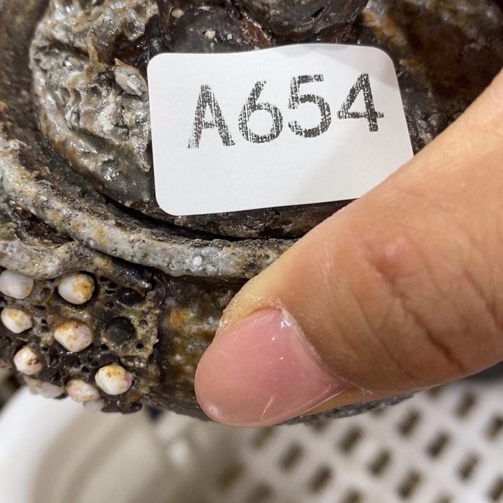 不***叔柴烧裸烧源头产地瑕疵不退不换