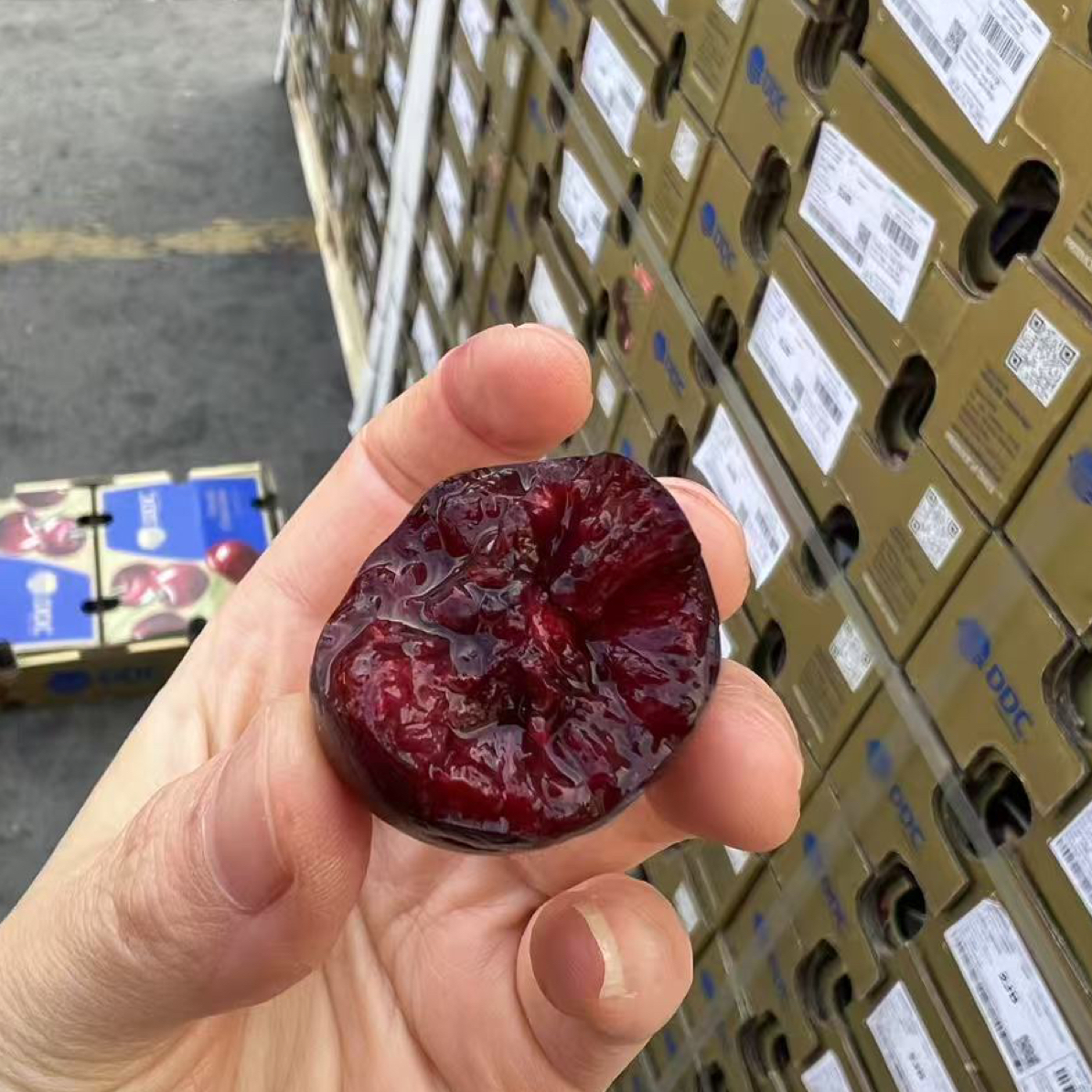 秒杀自由 DDC 3JD  智利空运车厘子整箱 5 斤品质超好 内附果径卡 智利